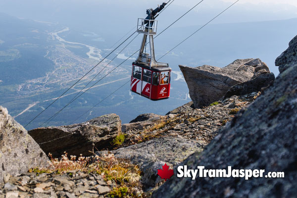 Jasper Skytram Whistlers Mountain Hike